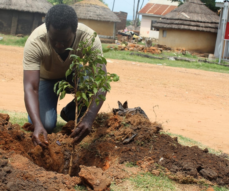 Amanzuru William Leslie plants a tree