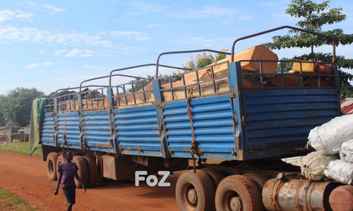 Adjumani district fails to enforce Gen. Ali’s directives on logging
